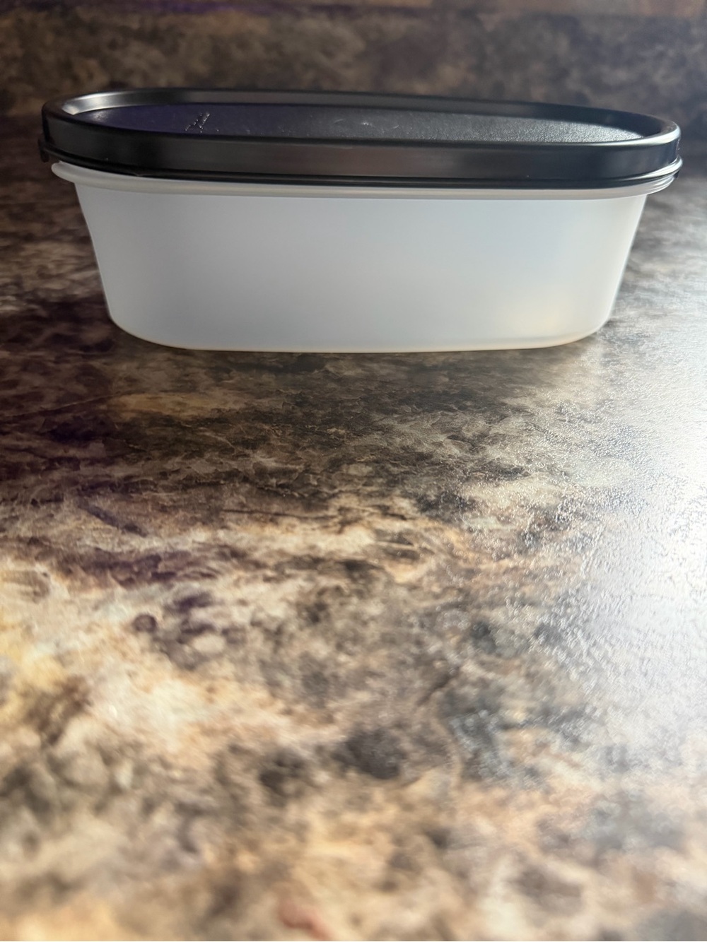 Plastic Food Storage Container with Black Lid - White Container